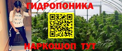 спиды Краснознаменск