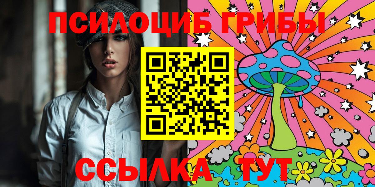 Галлюциногенные грибы Psilocybine cubensis Кизляр