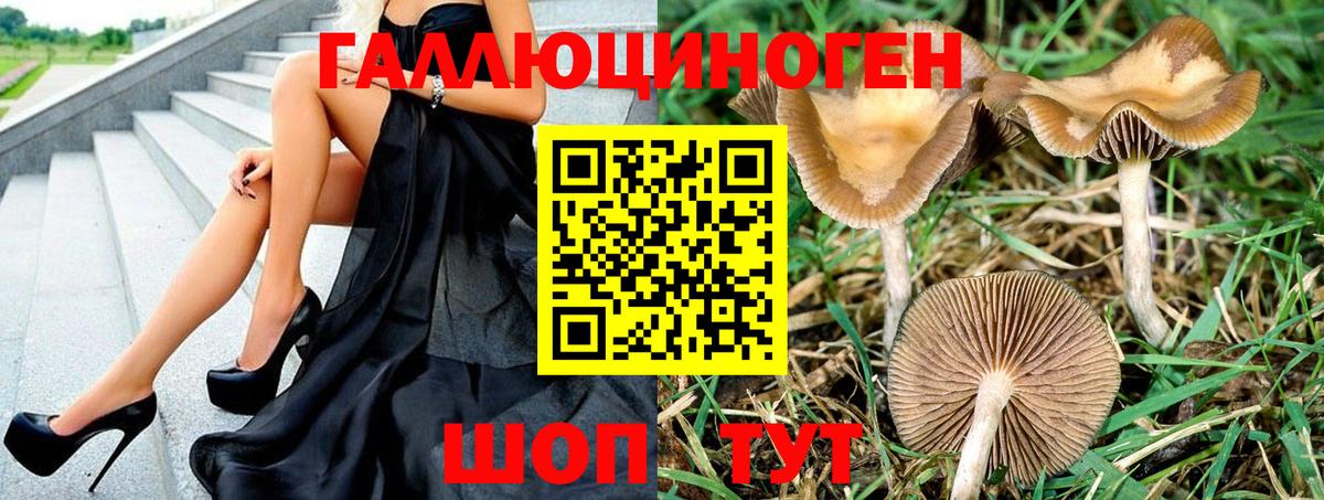 Кизляр  Псилоцибиновые грибы MAGIC MUSHROOMS  Вход с VPN 